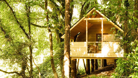 The West Cork treehouse