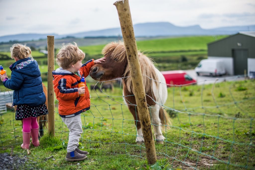 Vacations in Ireland