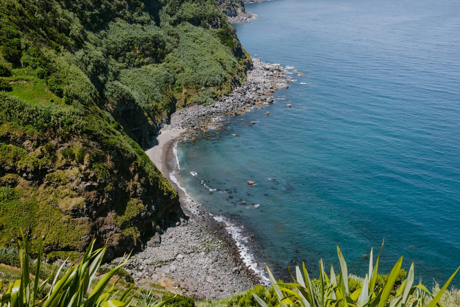 a beach with trees and bushes