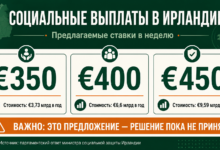 Инфографика о предложении повысить социальные выплаты в Ирландии до €350, €400 или €450 в неделю